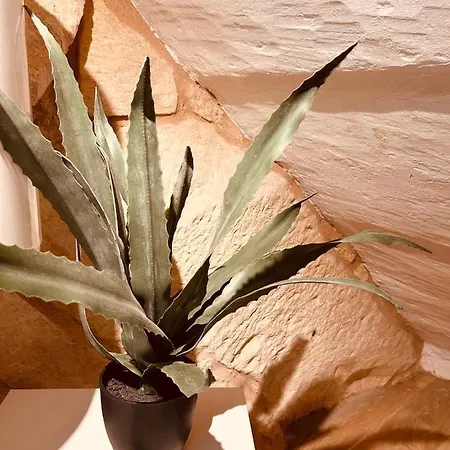 Mcc Argotti House Feriehus *