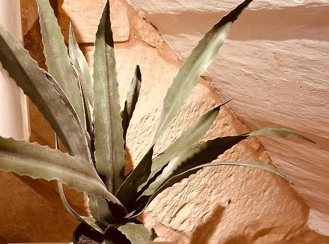 Mcc Argotti House Holiday home *